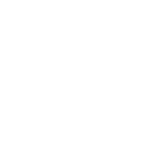 رایانه کارا لوگو